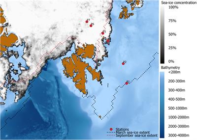 Multiple Trophic Markers Trace Dietary Carbon Sources in Barents Sea Zooplankton During Late Summer